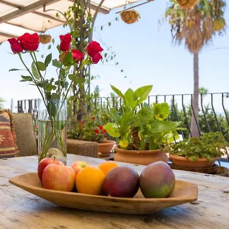 Hotel Cortijo Boutique Marbella
